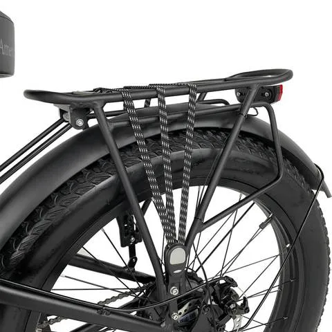 American Electric Steller Step-Thru 750W, 48V Fat Tire Electric Bike