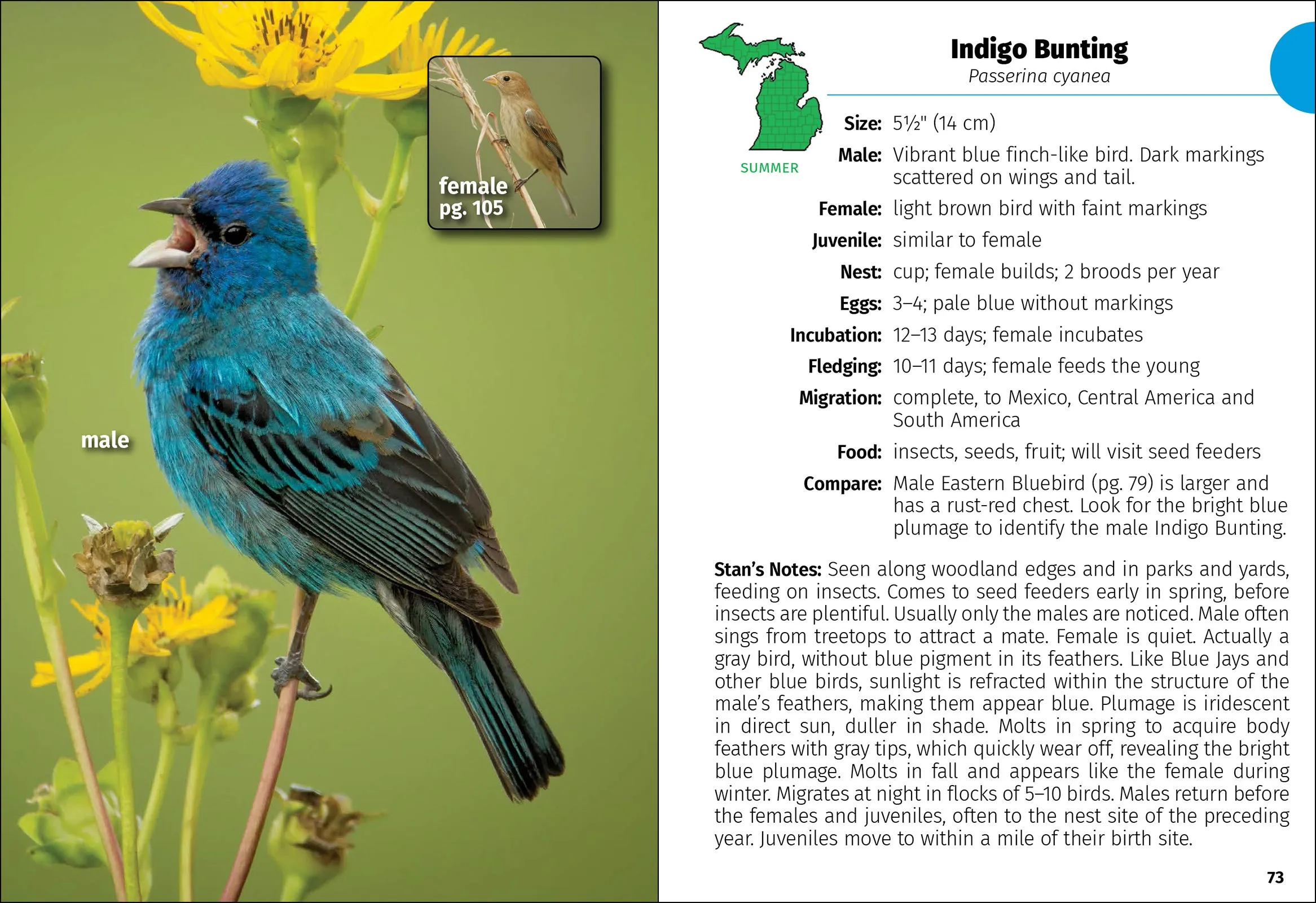 Birds Of Michigan Field Guide 3rd Edition
