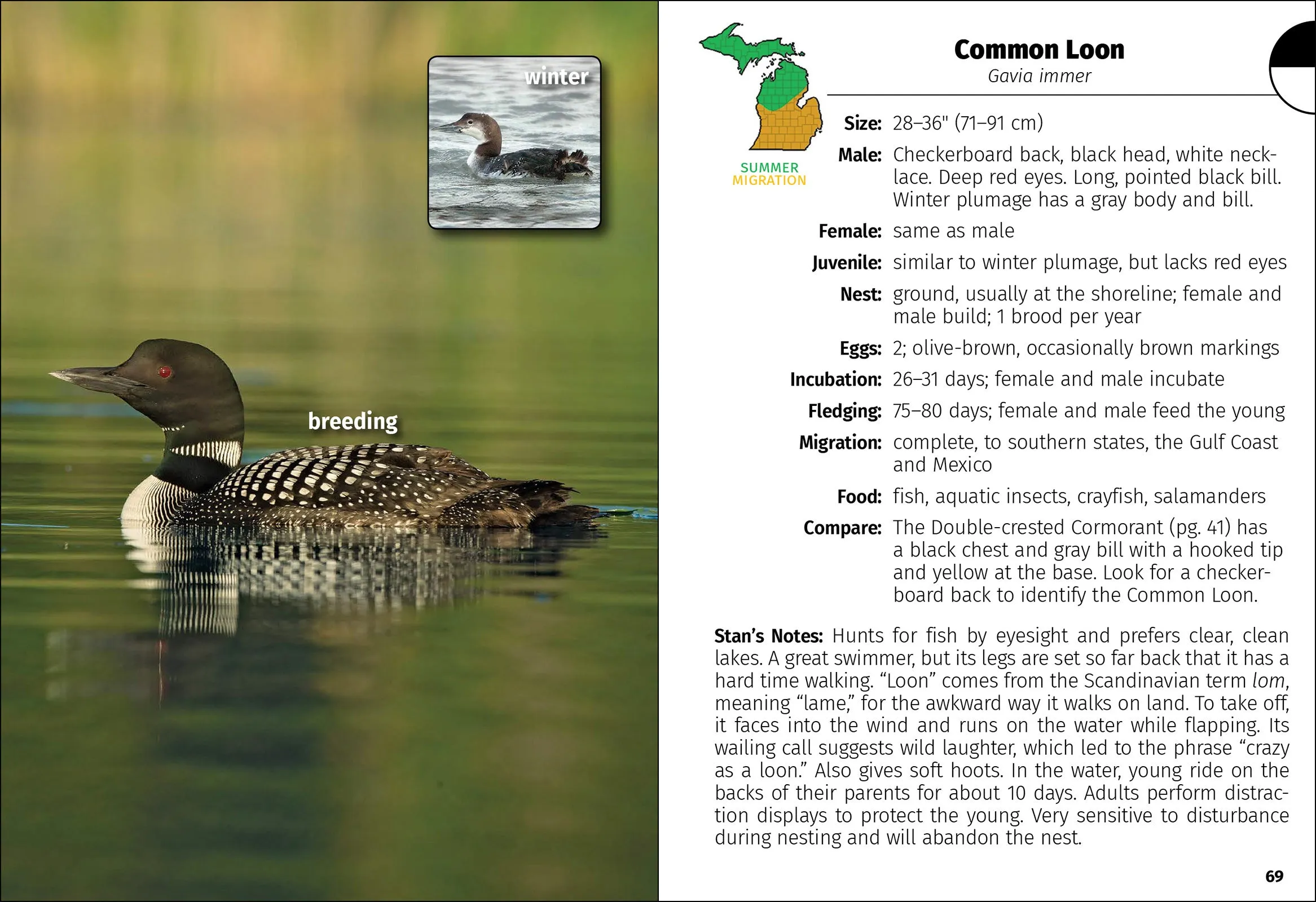 Birds Of Michigan Field Guide 3rd Edition