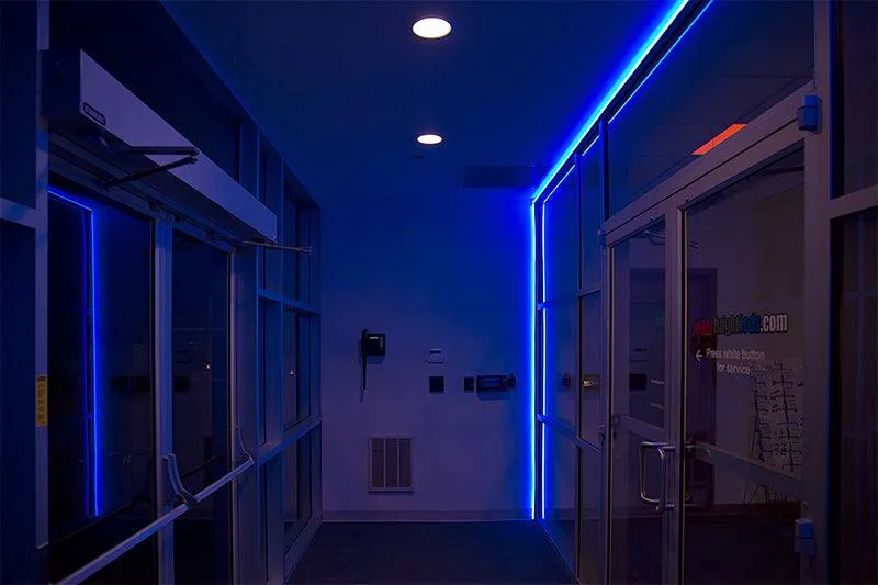 Blue LED Neon Flex AC 220V 240V 8x16mm 120LEDs/m IP65 Waterproof with UK Plug
