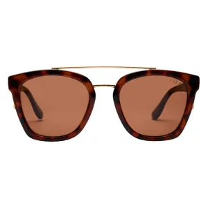 Chloe (Tort/Brown)