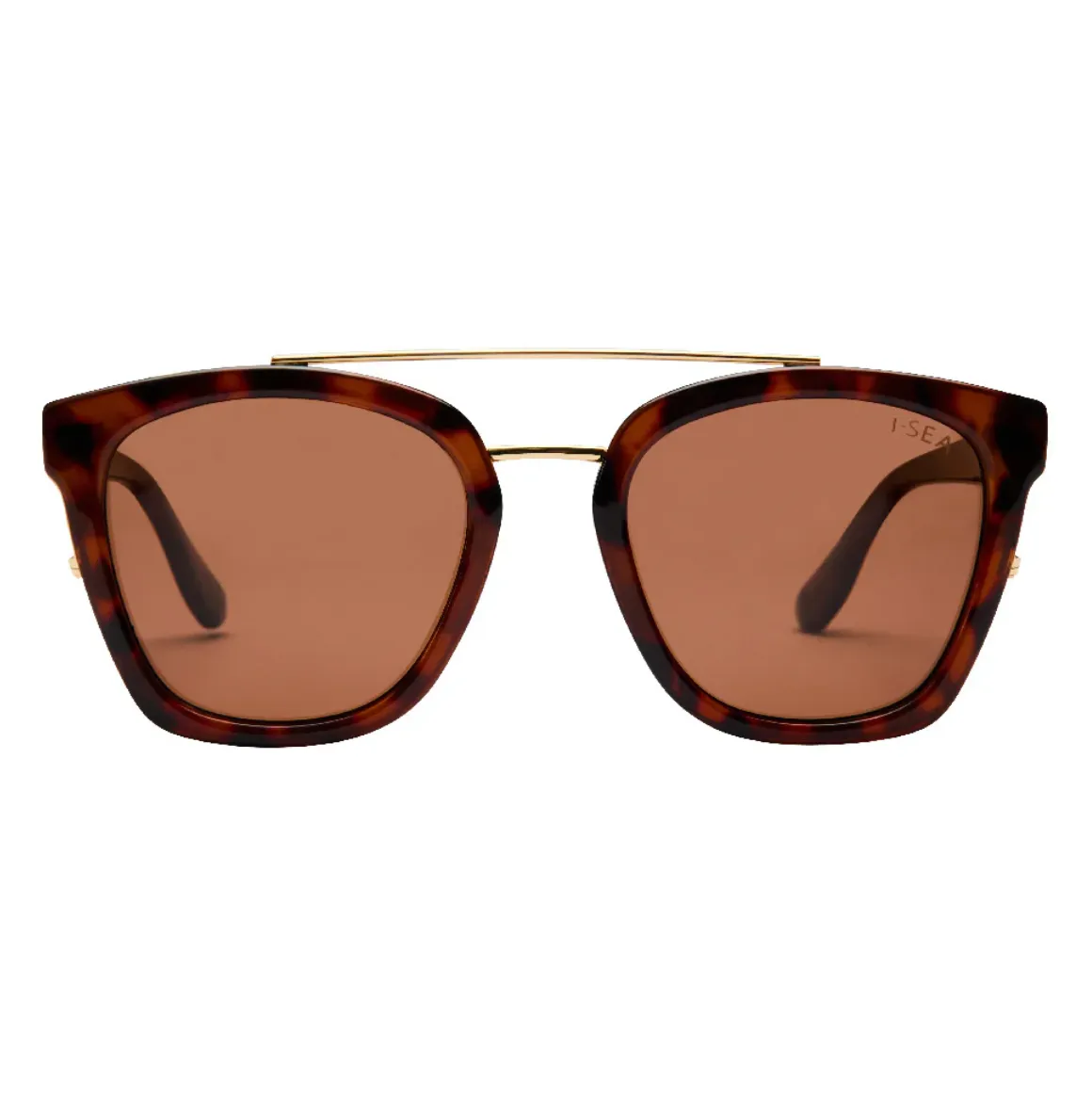 Chloe (Tort/Brown)