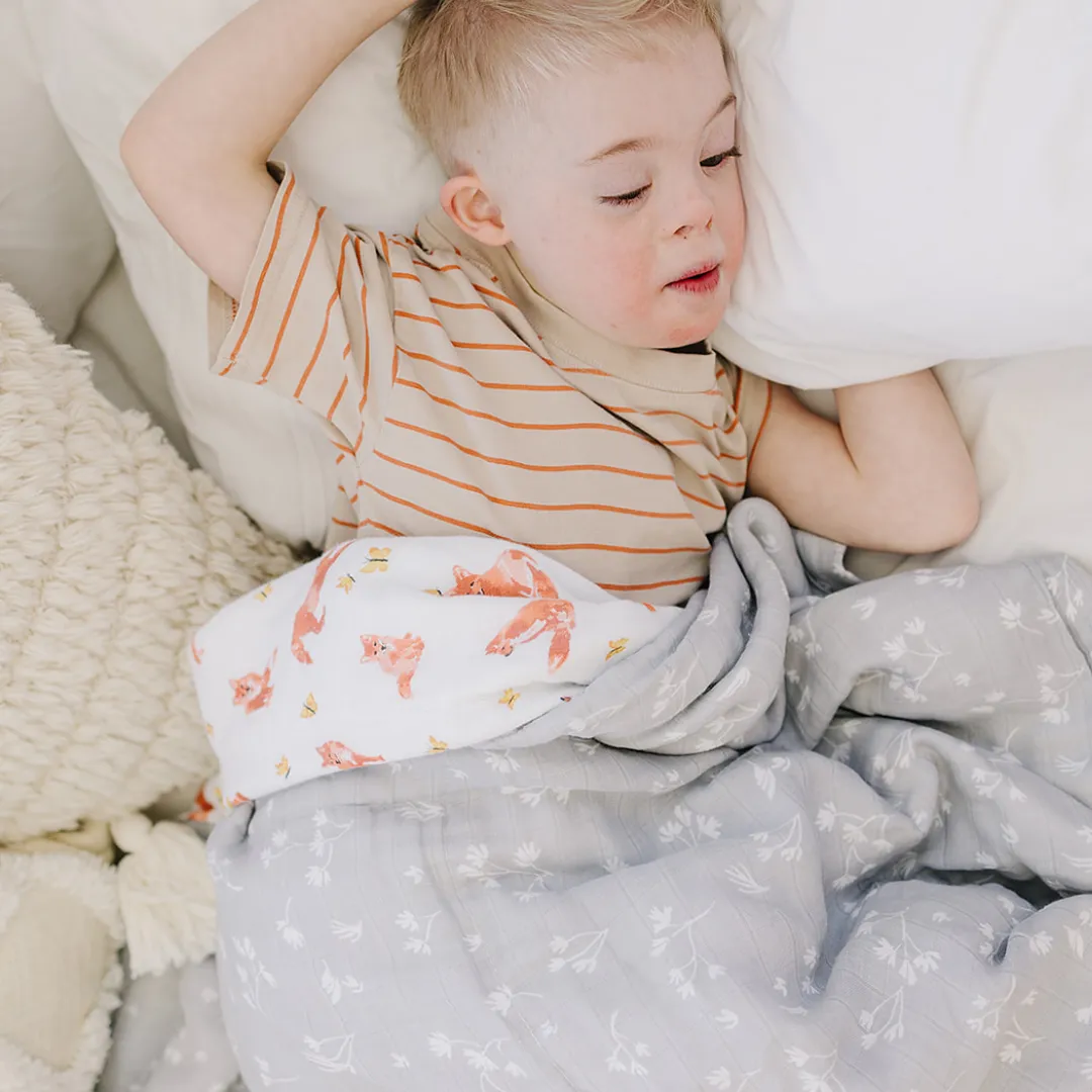 Fox Tales   Prairie Oh So Soft Snuggle Blanket