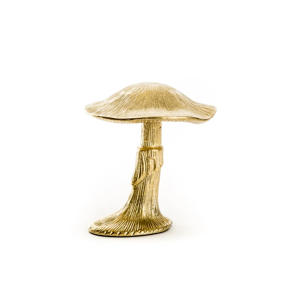 Gold Lichen Mushroom