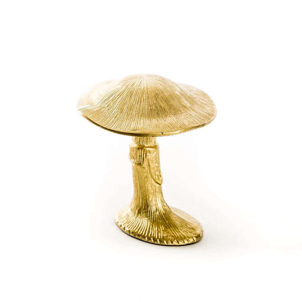 Gold Lichen Mushroom