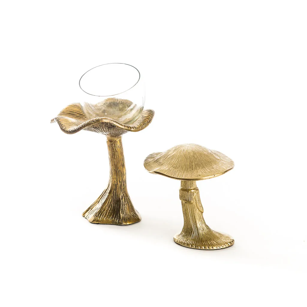 Gold Lichen Mushroom