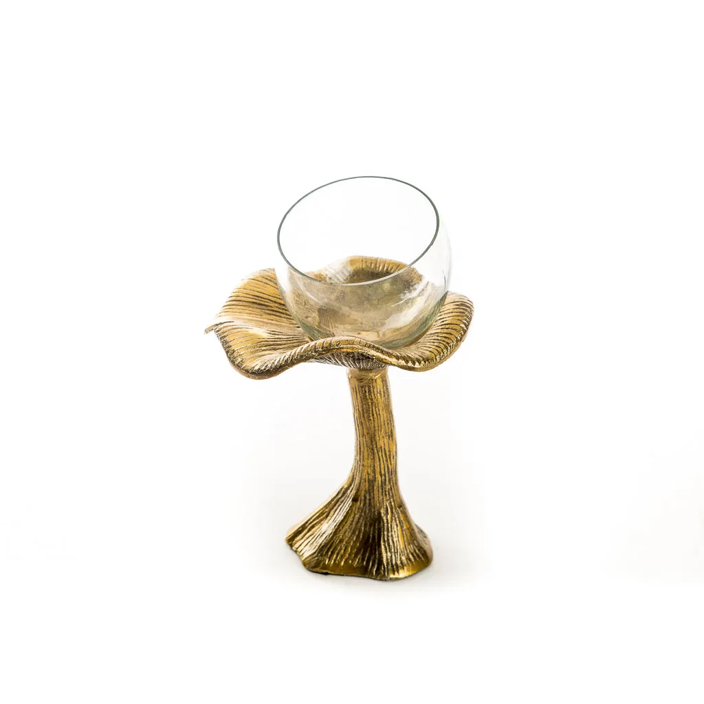 Gold Lichen Mushroom