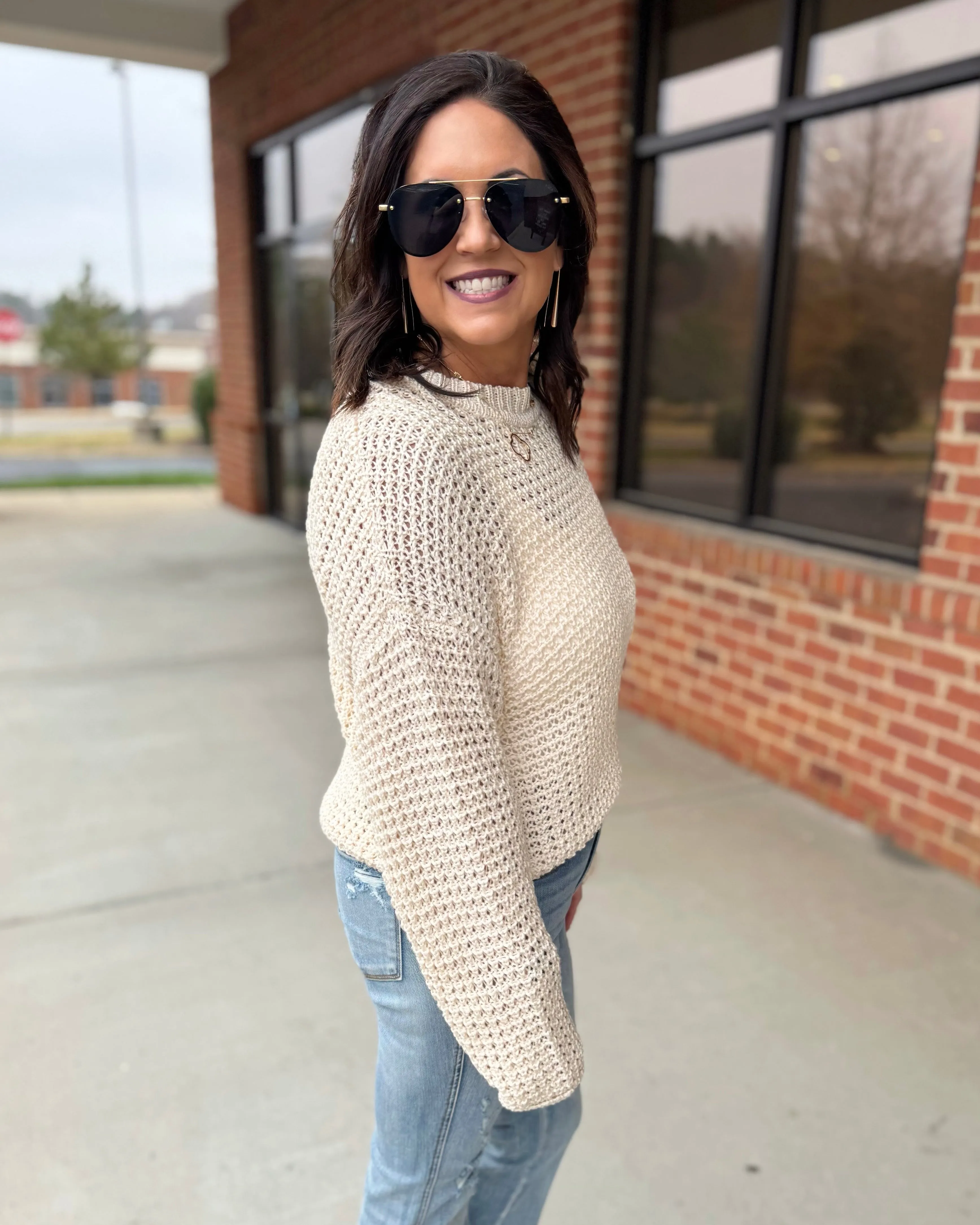 Jolene Crochet Knit Sweater in Oatmeal